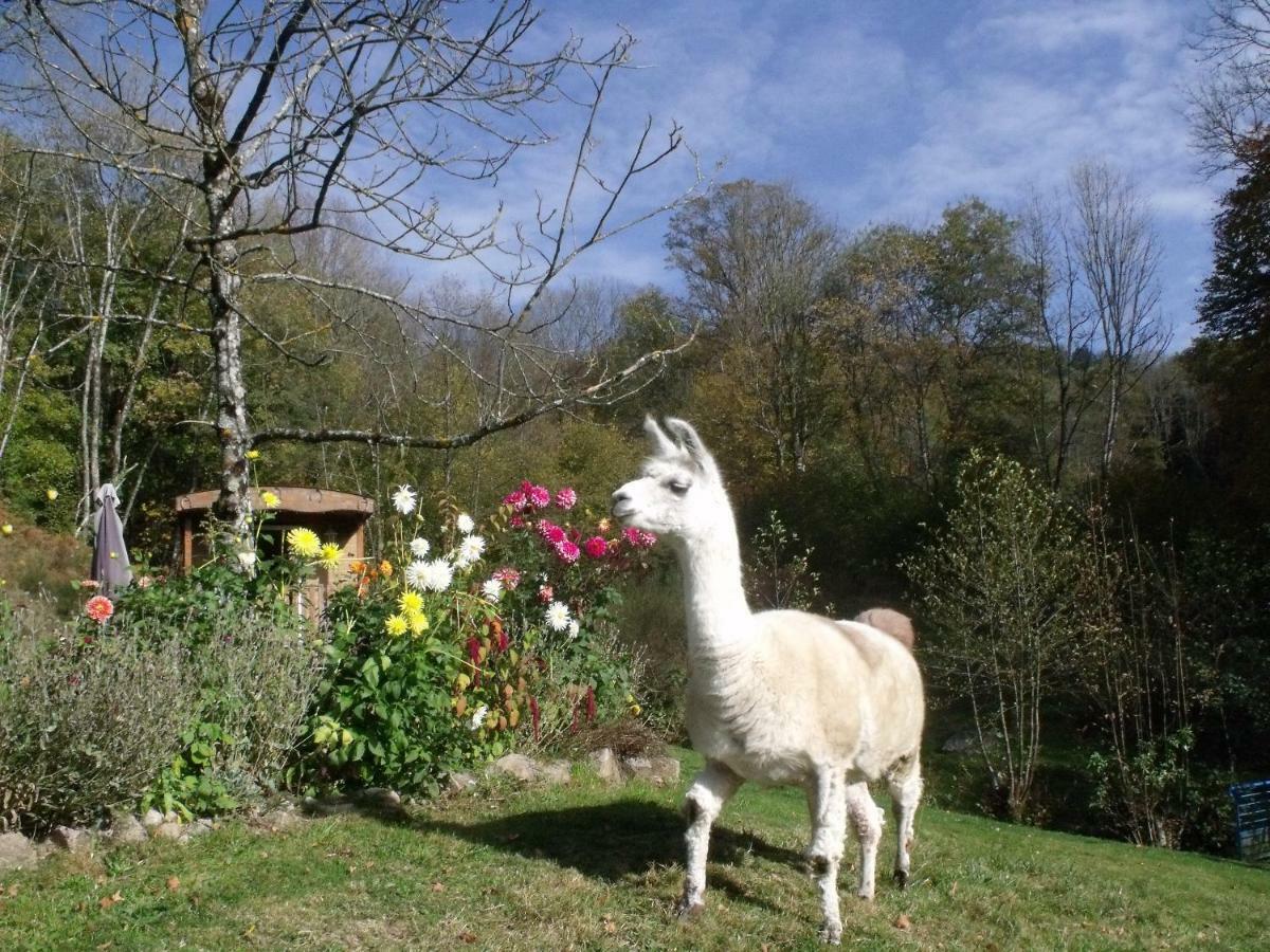 Le Domaine Du Chatelet Ferdrupt Екстериор снимка